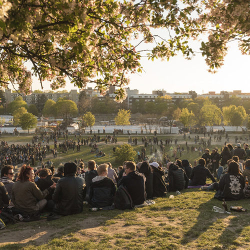 Freunde-des-Mauerparks__0001_FdM-d5d9_k